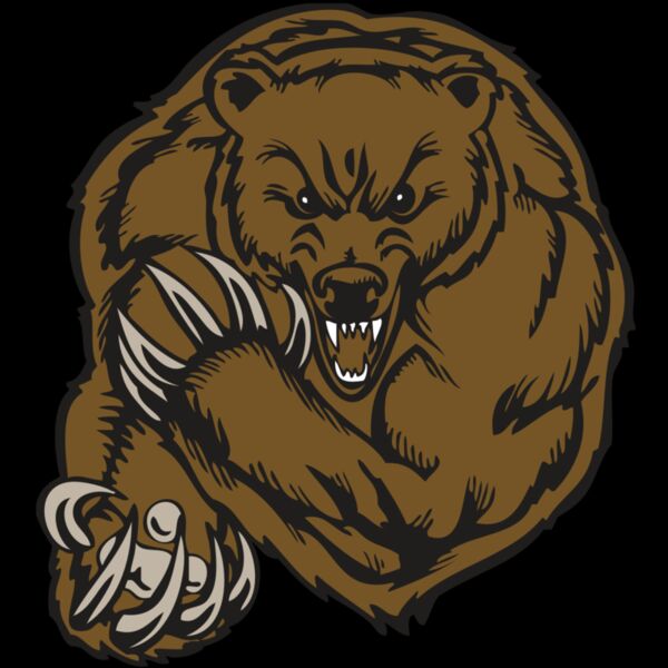 BAW BEAR 07 RC Thumbnail