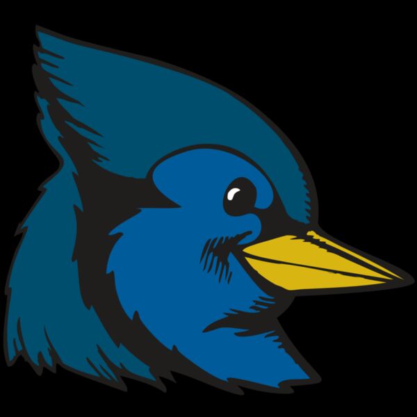 BAW BLUEJAY 07 RC Thumbnail