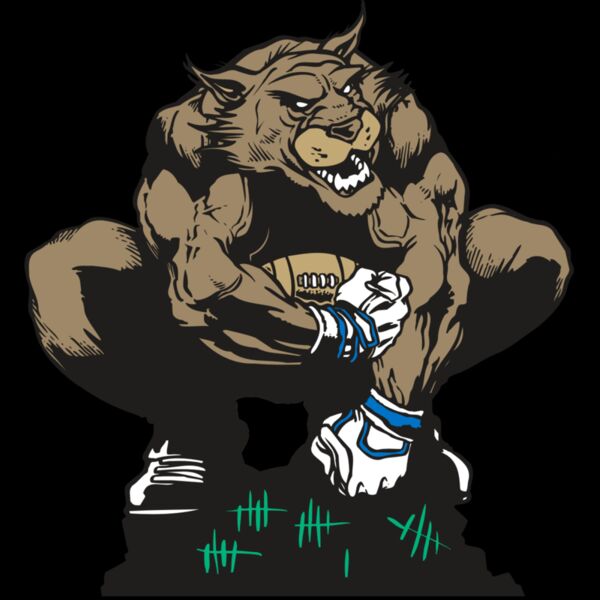 AR WILDCAT 34 RC Thumbnail