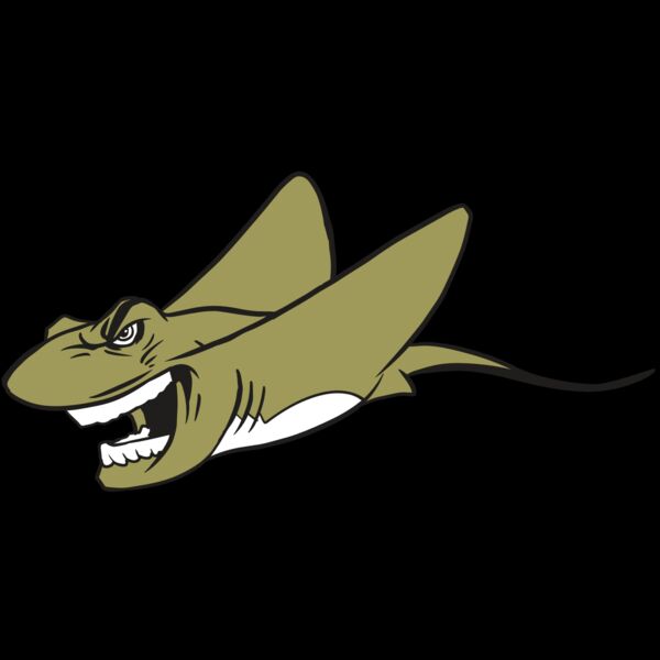 AR19 STINGRAY 07 RQC Thumbnail