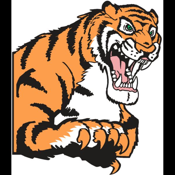 AR TIGER 10 RC Thumbnail