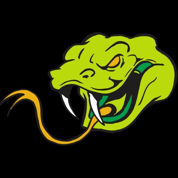 AR SNAKE 11 RC Thumbnail